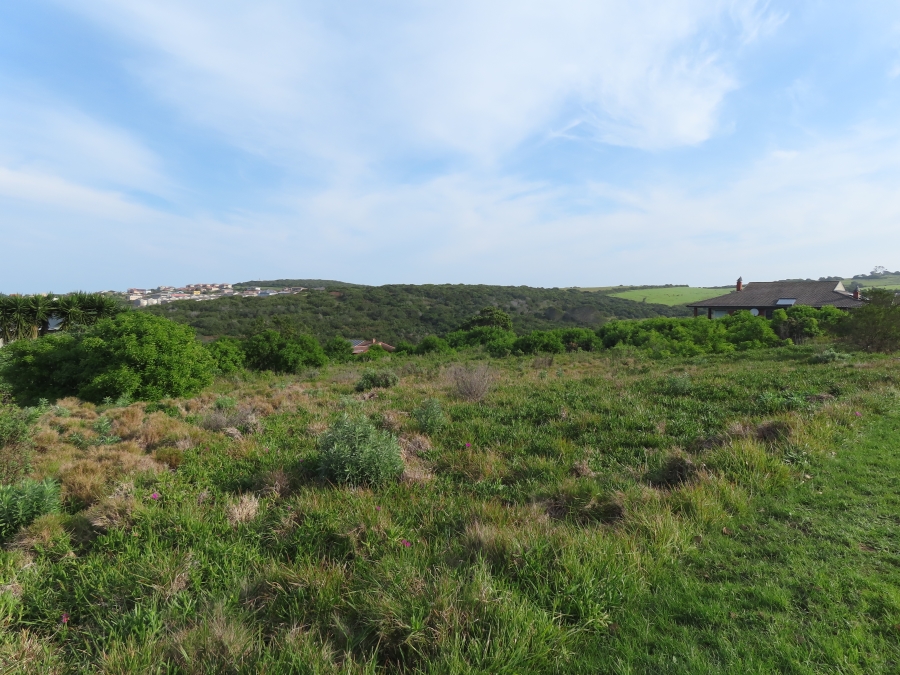 0 Bedroom Property for Sale in Forest Downs Eastern Cape